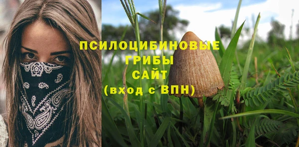 спиды Абдулино
