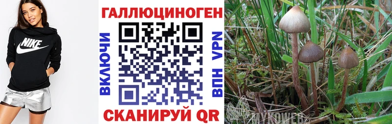 Псилоцибиновые грибы ЛСД Эртиль